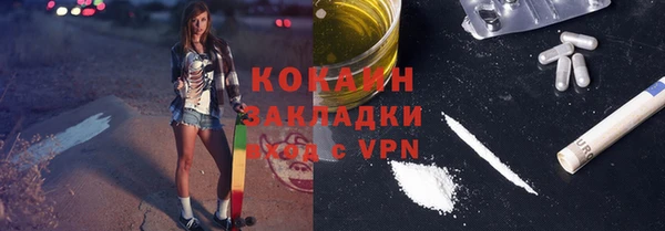 амф Липки