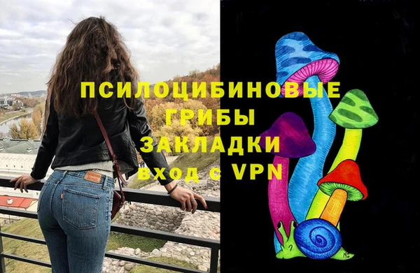 амф Липки