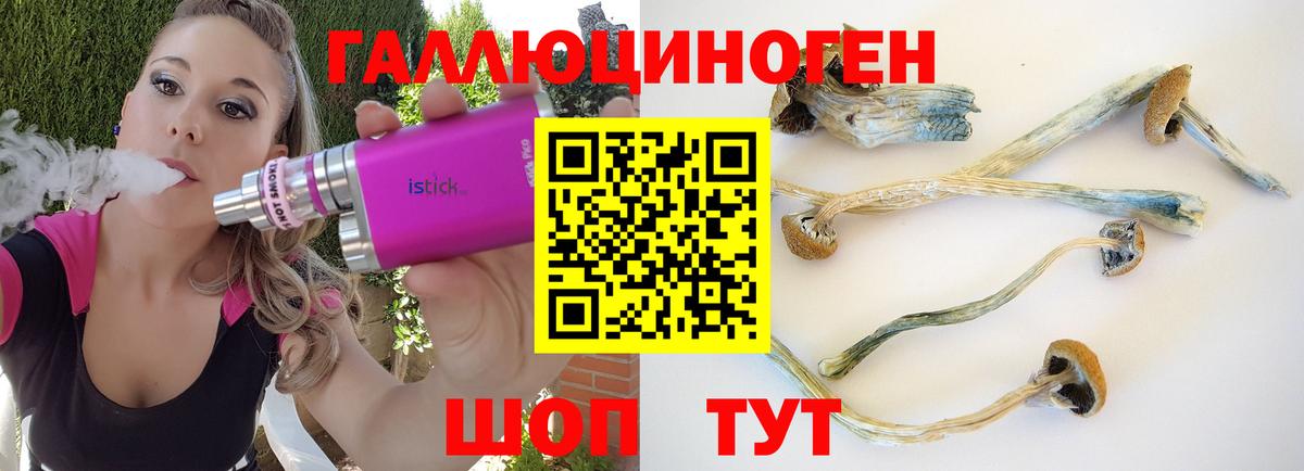 Галлюциногенные грибы Psilocybine cubensis Ртищево