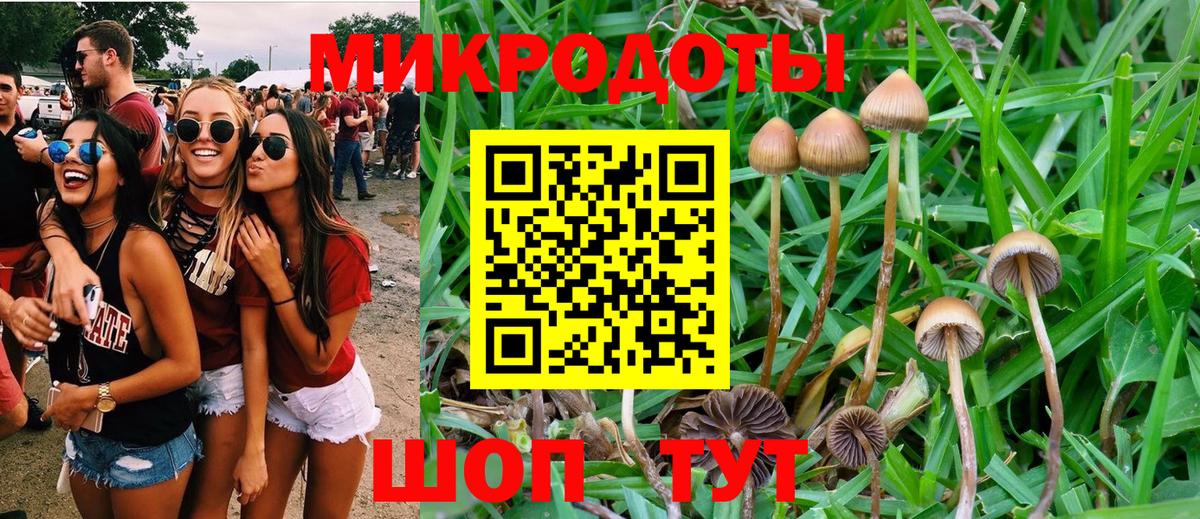 Ртищево  Псилоцибиновые грибы GOLDEN TEACHER  Вход с VPN 