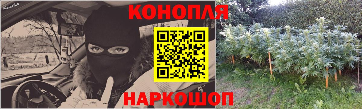 Бошки Шишки план  Шишки марихуана VHQ  Ртищево  Марихуана White Widow  Вход с VPN 